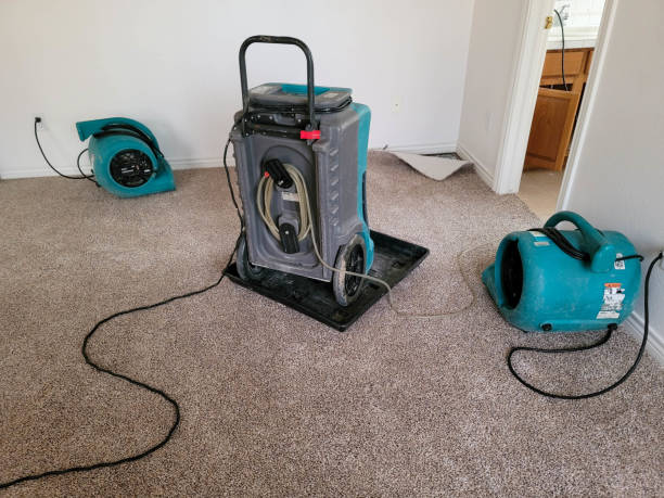Best Professional water damage repair  in Parkland, FL