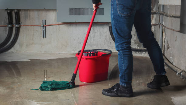 Reliable Parkland, FL Water damage restoration Solutions