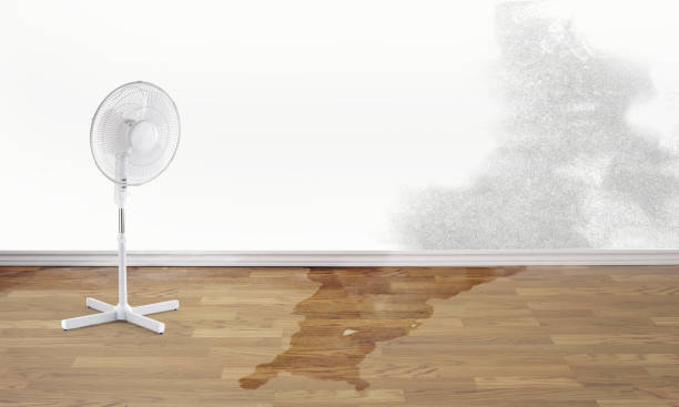 Best Water damage restoration near me  in Parkland, FL