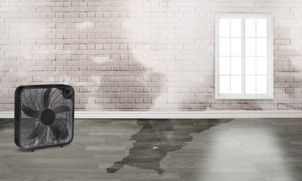 Best Water damage restoration cost  in Parkland, FL