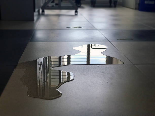 Water damage restoration experts in Parkland, FL
