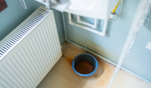 Best Water damage restoration near me  in Parkland, FL