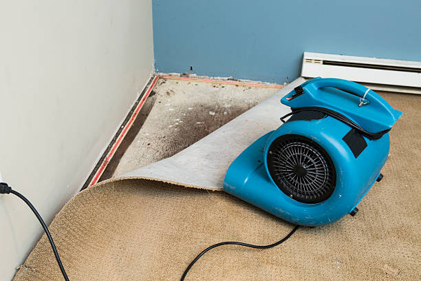 Best Professional water damage repair  in Parkland, FL